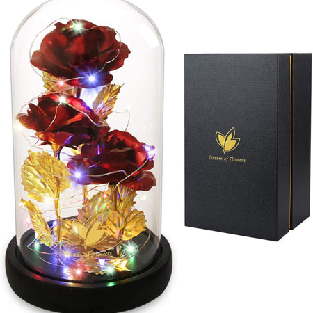 Christmas Rose Gifts for Her Beauty and the Beast Rose 24K Red Rose in Glass Dome, Light up Rose, Forever Artificial Flowers, Enchanted Red Rose Gift for Her on Valentines Day Wedding Anniversary