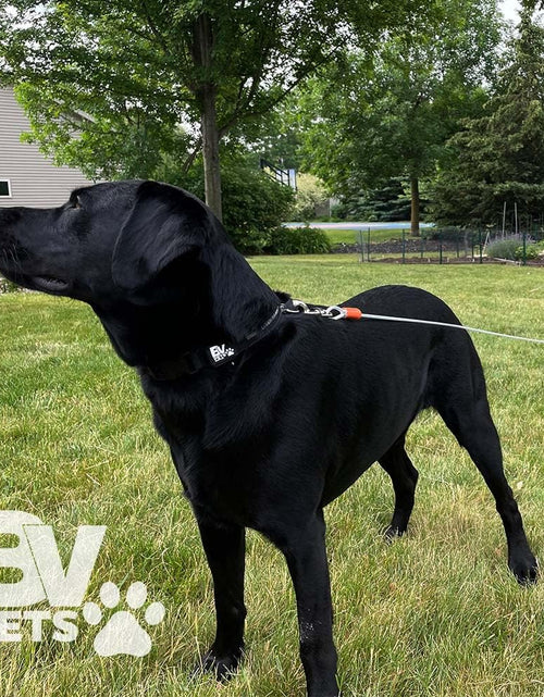 Load image into Gallery viewer, Pet Reflective Tie Out Cable for Large Dog up to 90 Pound, 25 Feet
