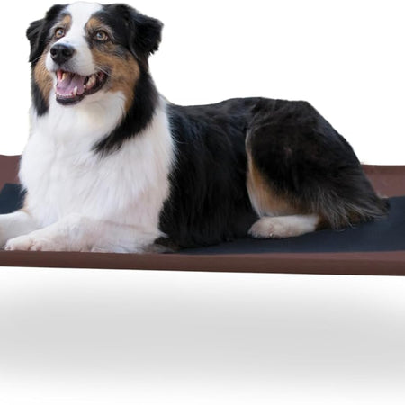 Original Pet Cot Elevated Dog Bed Chocolate/Black Mesh Large 30 X 42 X 7 Inches