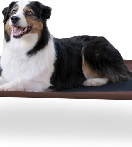Original Pet Cot Elevated Dog Bed Chocolate/Black Mesh Large 30 X 42 X 7 Inches