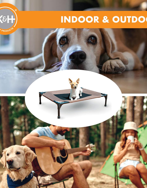 Load image into Gallery viewer, Original Pet Cot Elevated Dog Bed Chocolate/Black Mesh Large 30 X 42 X 7 Inches
