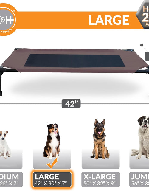 Load image into Gallery viewer, Original Pet Cot Elevated Dog Bed Chocolate/Black Mesh Large 30 X 42 X 7 Inches
