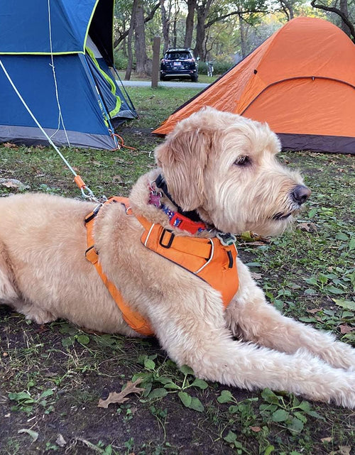 Load image into Gallery viewer, Pet Reflective Tie Out Cable for Large Dog up to 90 Pound, 25 Feet
