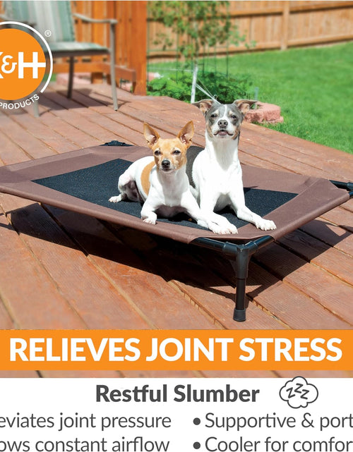 Load image into Gallery viewer, Original Pet Cot Elevated Dog Bed Chocolate/Black Mesh Large 30 X 42 X 7 Inches
